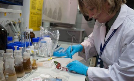 Złapać hurtownika Mocarza. „Najwyższy priorytet”