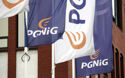 PGNiG chce dużej obniżki ceny gazu od niemieckiego VNG