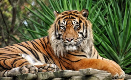 Anna Nowacka-Isaksson: Symbol nie do podważenia