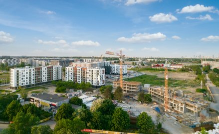 Ronson Development zanotował rekordowe wyniki finansowe