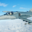 L-159 Czeskich Sił Powietrznych