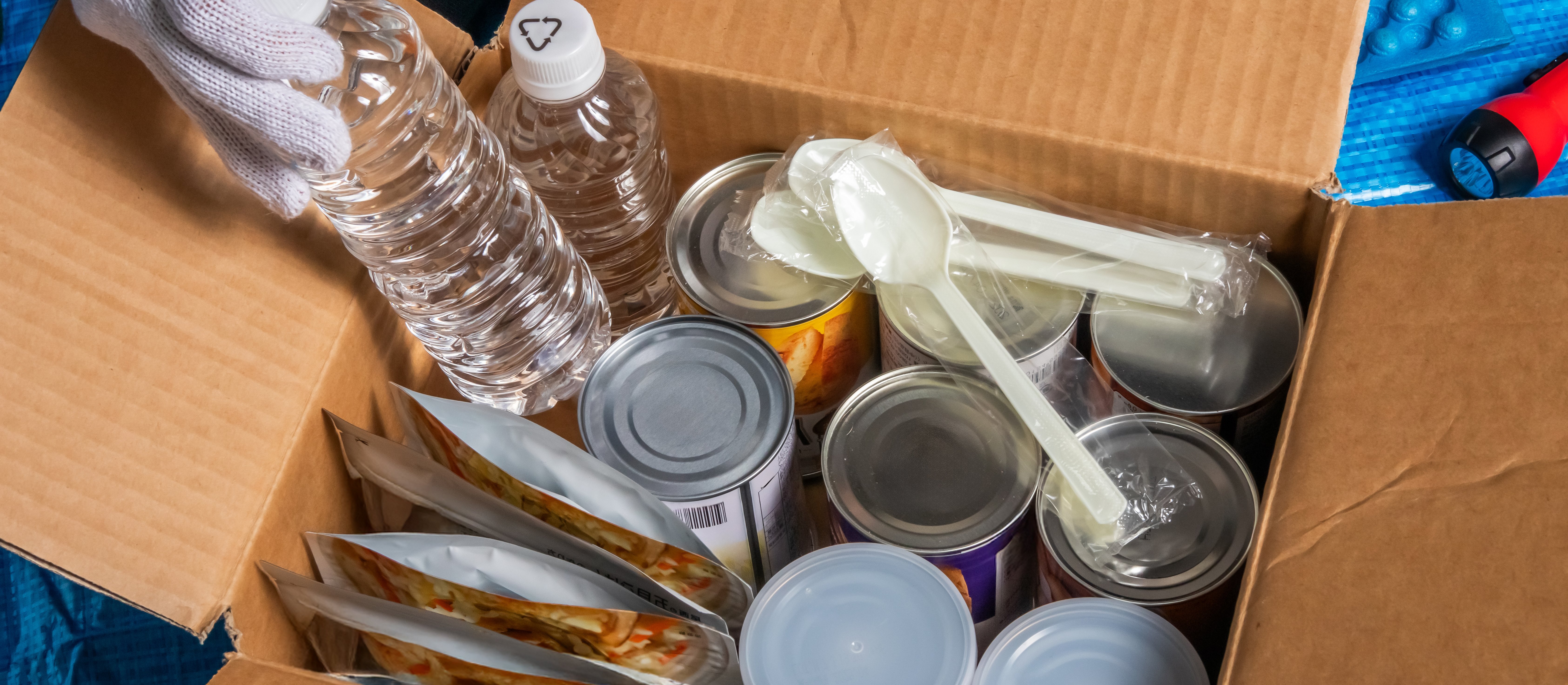 Obowiązkowy zestaw na 10 dni. To musi mieć każdy. Niemcy podali listę