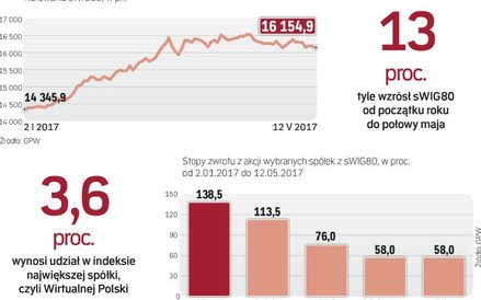 W tym roku niewielkie spółki pozwoliły zarobić, perspektywy też są dobre