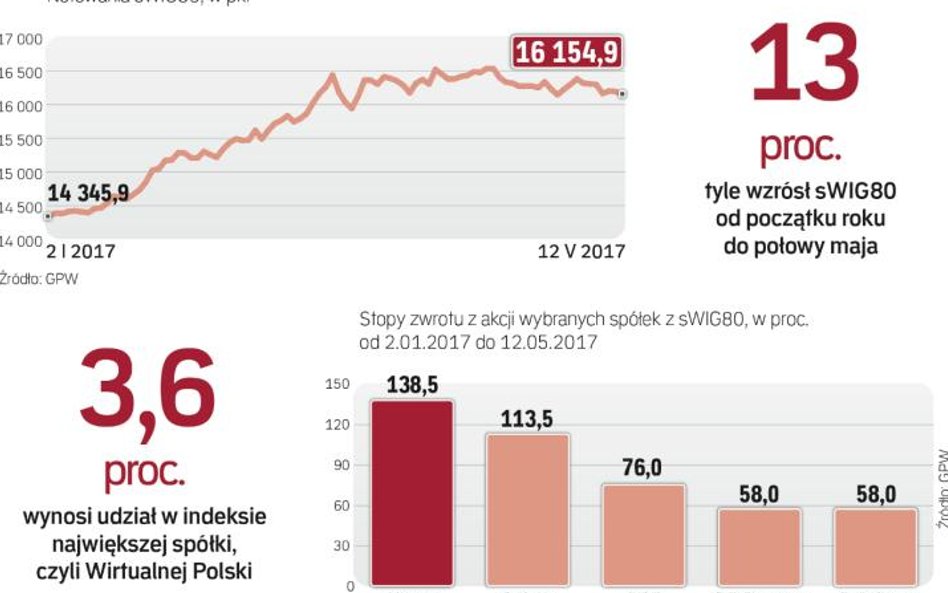 W tym roku niewielkie spółki pozwoliły zarobić, perspektywy też są dobre