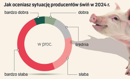 Ponure nastroje hodowców trzody. Mniej polskich schabowych na stołach