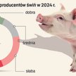 Ponure nastroje hodowców trzody. Mniej polskich schabowych na stołach