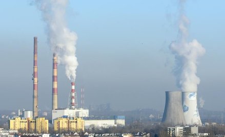 Resort bada skandynawski model