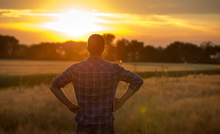 Będą dopłaty dla polskich rolników. KE daje zielone światło
