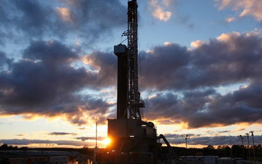 Wisent Oil & Gas poszukuje ropy z polskich łupków