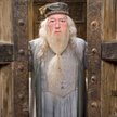 Dumbledore był gejem? Nie zobaczymy tego