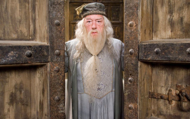 Dumbledore był gejem? Nie zobaczymy tego