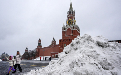 Rosja zabroni obcokrajowcom korzystania z surogatek