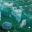 Nowy Jork kolejnym stanem, który zakaże plastiku