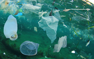 Chińczycy wynaleźli plastik rozkładający się w morzu