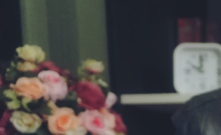 Kalendarium - poniedziałek 8 grudnia