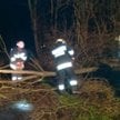 Najwięcej interwencji dotyczyło powalonych drzew
