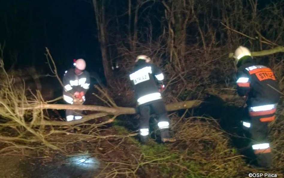 Najwięcej interwencji dotyczyło powalonych drzew