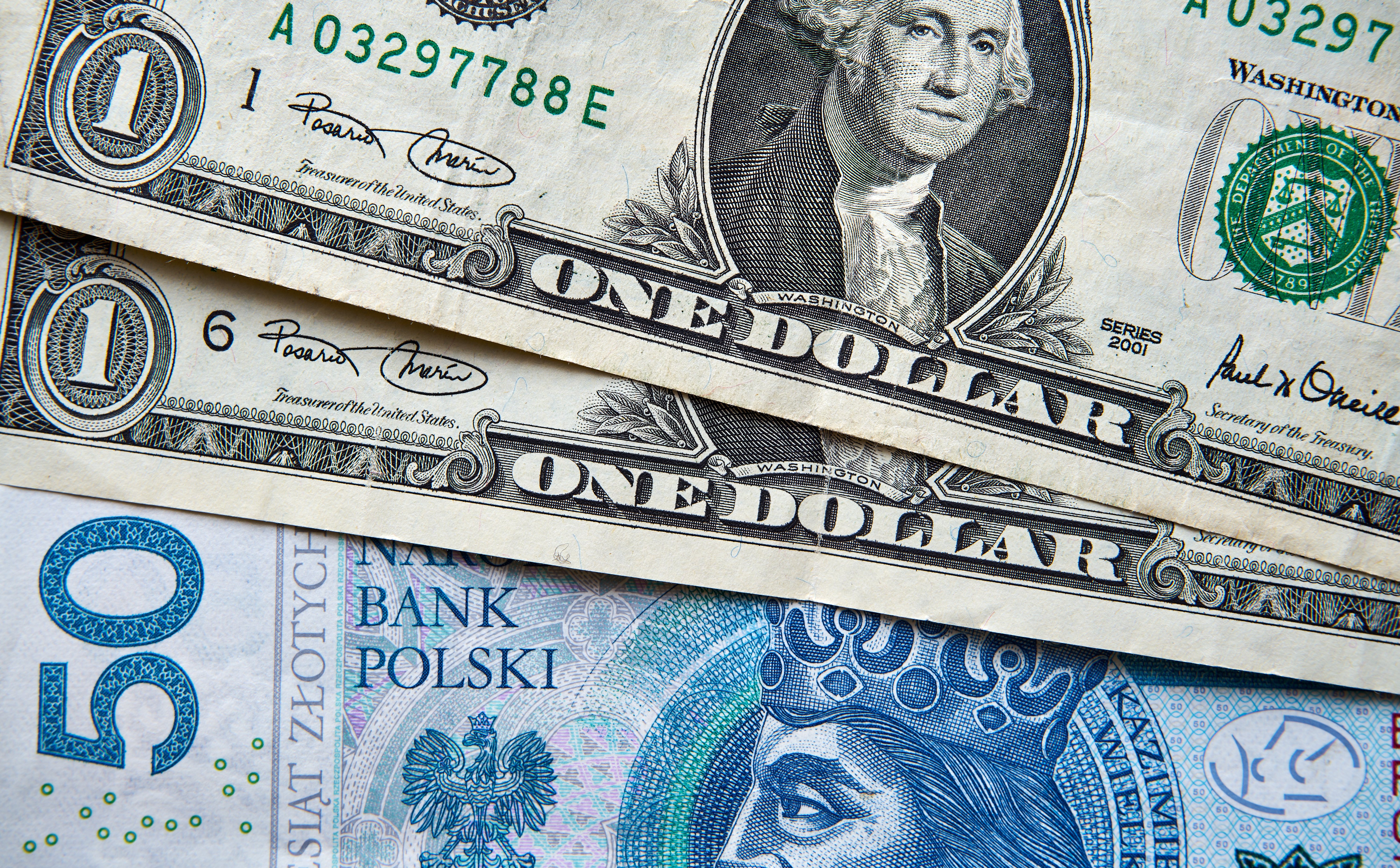 Złoty oddał poranne zyski