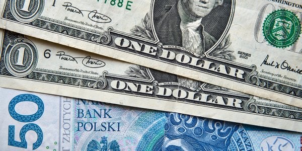 Złoty oddał poranne zyski