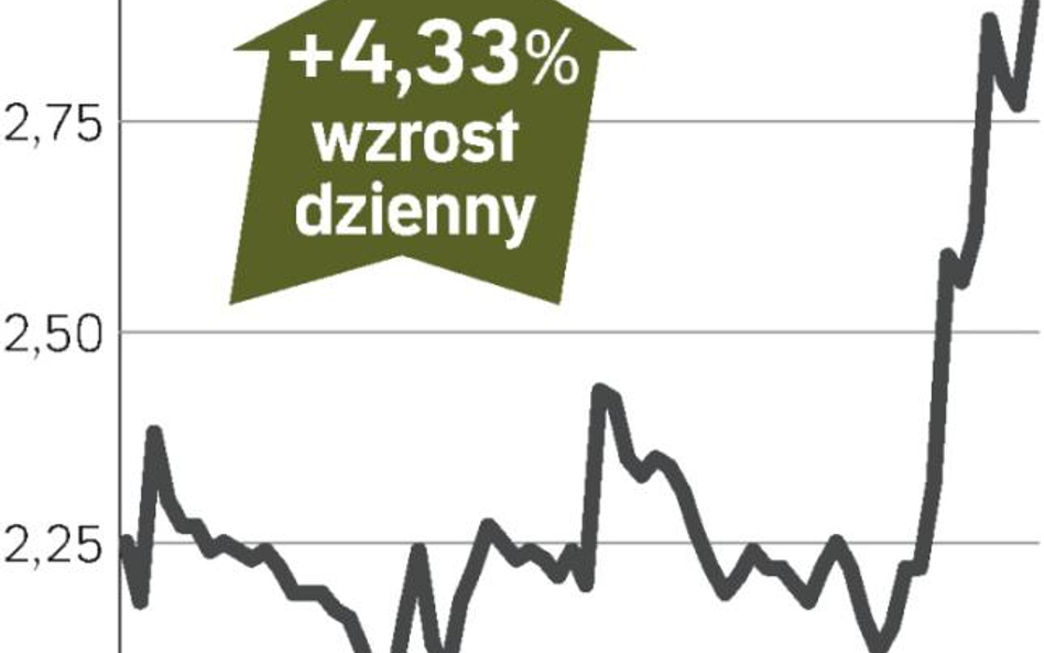 Koncentracja na głównym biznesie