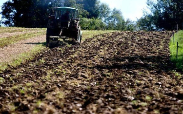Pod względem wydajności pracy w rolnictwie Polska jest w ogonie UE