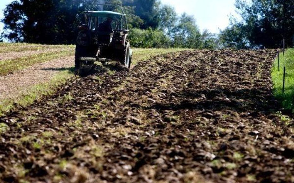 Rząd konsoliduje rolnicze agencję w jedną Agencję Rozwoju Obszarów Wiejskich