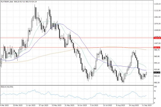 Notowania platyny – dane dzienne