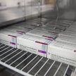 AstraZeneca złożyła we wtorek wniosek do Europejskiej Agencji Leków (EMA) o warunkową autoryzację sz