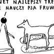 Rysuje Janusz Kapusta