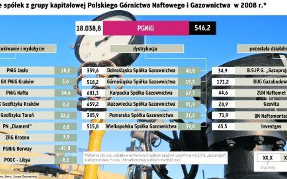 PGNiG chce konsolidować spółki poszukiwawcze i wydobywcze