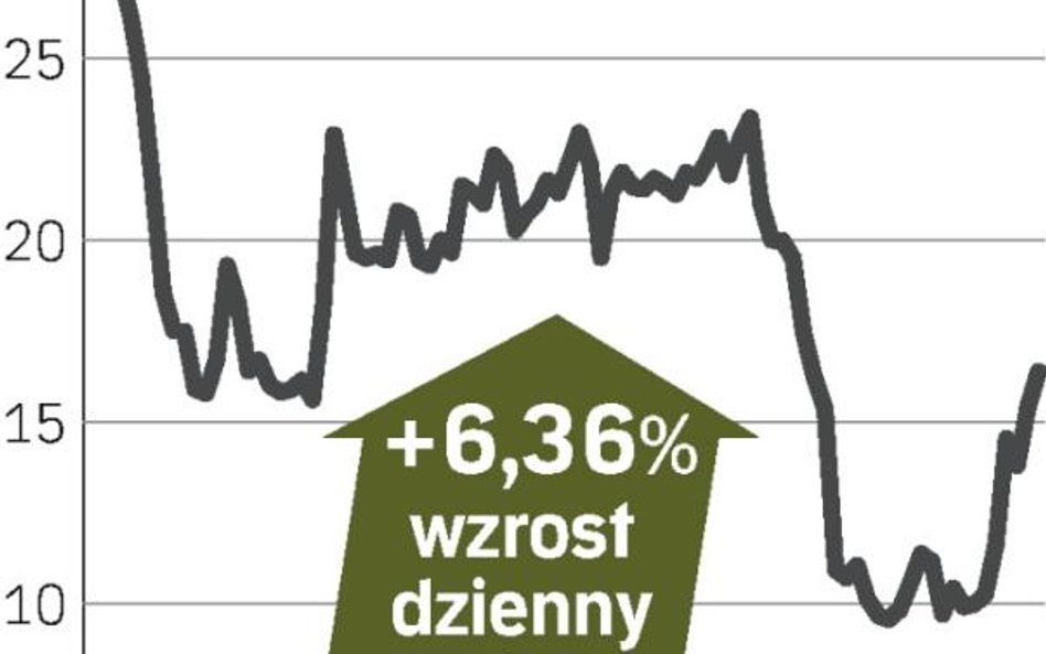 S&P obniżył rating dla CEDC z B do B minus