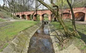 Drna w parku Fosa i Stoki Cytadeli