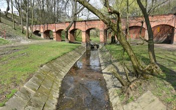 Drna w parku Fosa i Stoki Cytadeli