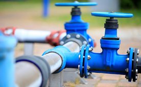 Warunkiem skorzystania z abolicji jest dobrowolne zgłoszenie się właściciela lub użytkownika nieruch