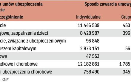 Polisy indywidualne są częstsze niż grupowe