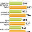 Susza zagraża zbiorom zbóż