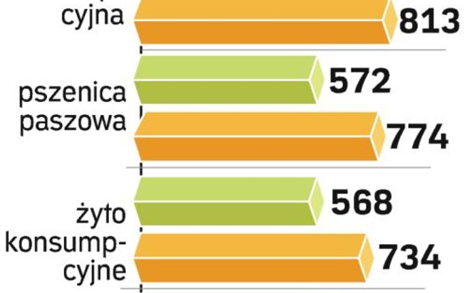 Susza zagraża zbiorom zbóż