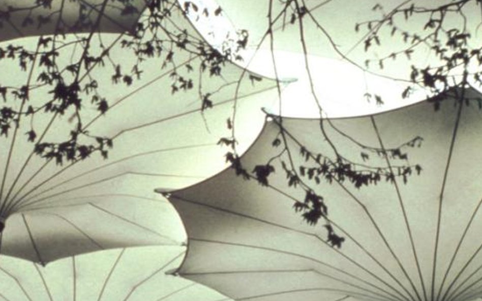 Umbrellas for Pink Floyd 1977 Concert Tour