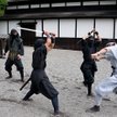 W Japonii brakuje wojowników ninja