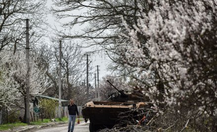 Zniszczony rosyjskich pojazd opancerzony w obwodzie kijowskim
