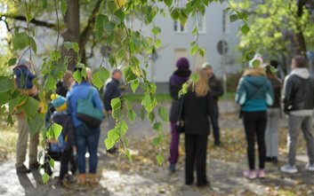 Plebiscyt jest elementem programu „Warszawa w kwiatach i zieleni”