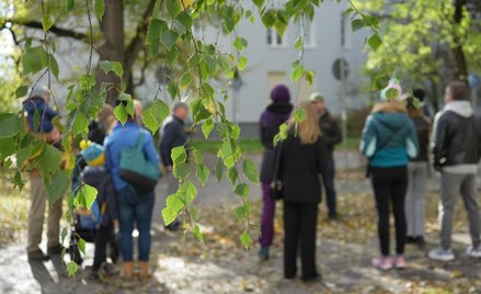 Plebiscyt jest elementem programu „Warszawa w kwiatach i zieleni”