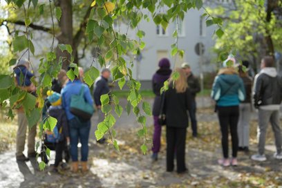 Plebiscyt jest elementem programu „Warszawa w kwiatach i zieleni”