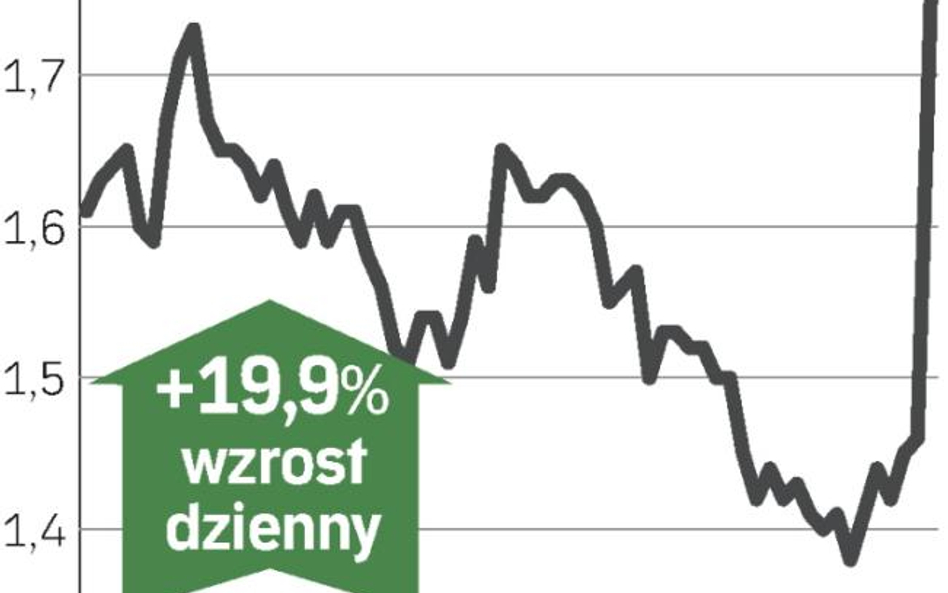 efh żurawie wieżowe