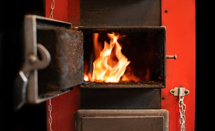 Ciężka zima nie uchroni przed karą od straży miejskiej