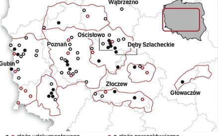 W Polsce jest dużo węgla brunatnego
