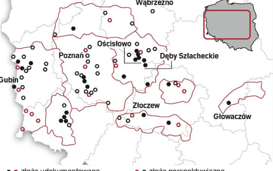 W Polsce jest dużo węgla brunatnego