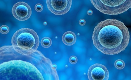 Mikroplastik odpowiedzialny za uszkodzenia ludzkich komórek