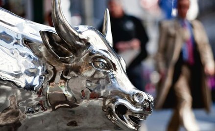 Czekając na rok byka...