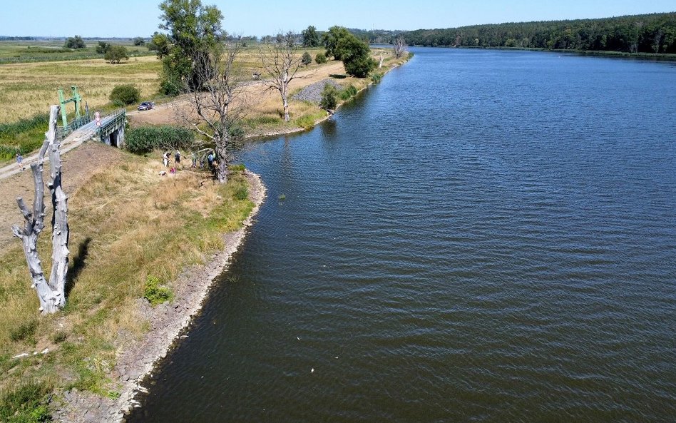 Pierwsze wyniki niemieckich badań. Nie wykryto w Odrze wysokich poziomów metali